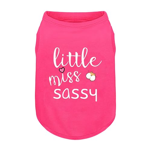 Hunde-Shirt aus Baumwolle mit Corgi-Po-Aufdruck "Little Miss Sassy", weiche und atmungsaktive Haustierbekleidung für kleine bis große Hunde, niedliches Ganzjahres-Outfit, Größe L, Rosa von ZIAGAOP