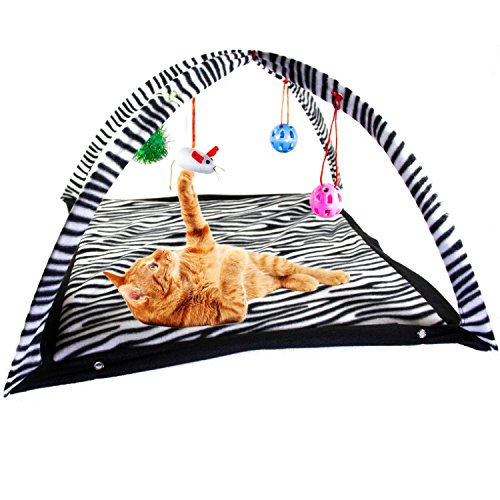 ZIME Zebra Muster Kätzchen Live Bett Cat Activity Center mit Spielzeug zum Aufhängen Bälle, Mäuse & mehr – Hilft Katzen Bewegung & Stay Active von ZIME