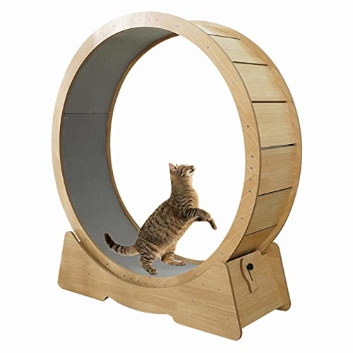 Katzenlaufrad Großes Laufrad für Katzen, Laufrad für Katzen für Den Innenbereich, Laufband, Katzenlaufrad Spielzeug mit Teppichbahn, Hamsterrad-Stil Katze Riesenrad von ZIMGOD