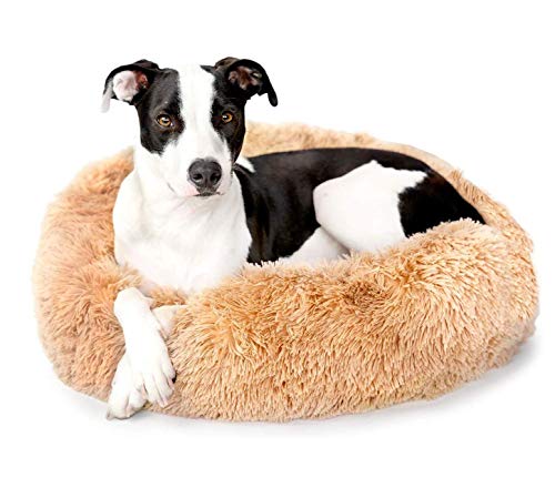 ZINN Großes Hundesofa XXL Hundebett-Donut Rund Hundekissen,Plüsch Hunde Betten Plüsch Haustierbett Warm Schlafen Bett für Mittelgroße und Große Hunde,Rutschfestes Waschbar von ZINN