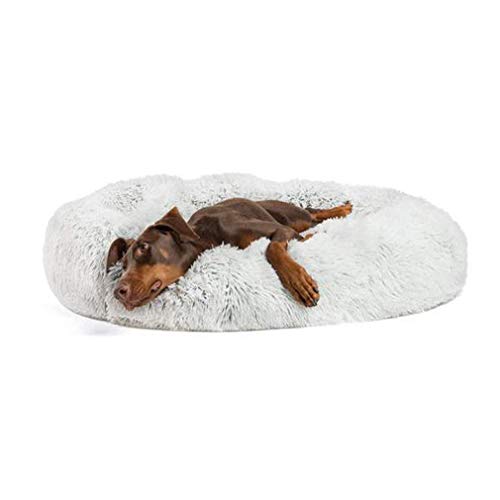 ZINN Premium Orthopädisches Plüsch-Hundebett, extra groß, waschbar, großes Hundekissen, Haustier-Sofa, waschbar, ideal für Haustier-Arthritis, Hüftdysplasie, hellgrau, Größe M: 80 cm von ZINN