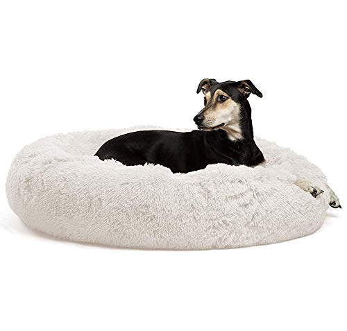 ZINN Premium Orthopädisches Plüsch-Hundebett, extra groß, waschbar, großes Hundekissen, Hundesofa, waschbar, ideal für Haustier-Arthritis, Hüftdysplasie, weiß, L: 90 cm von ZINN