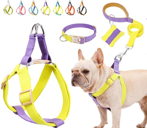 Hundegeschirr und Leine, kein Ziehen, Hundehalsband, Hundegeschirr mit Kotbeutelhalter, verstellbare, leichte Baumwollgurte, geeignet für kleine, mittelgroße und große Hunde, Outdoor-Spaziergänge, von ZIRVYIR