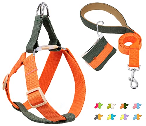 No Pull Hundegeschirr und Leine Set - Step in Dog Halfter Harness mit Kotbeutelhalter - Verstellbare bequeme leichte Gurte geeignet für mittelgroße große Hunde Outdoor Walking Laufen Wandern (S, GO) von ZIRVYIR