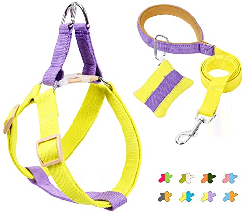 No Pull Hundegeschirr und Leine Set - Step in Dog Halfter Harness mit Kotbeutelhalter - Verstellbare bequeme leichte Gurte geeignet für mittelgroße große Hunde Outdoor Walking Laufen Wandern (S, PY) von ZIRVYIR