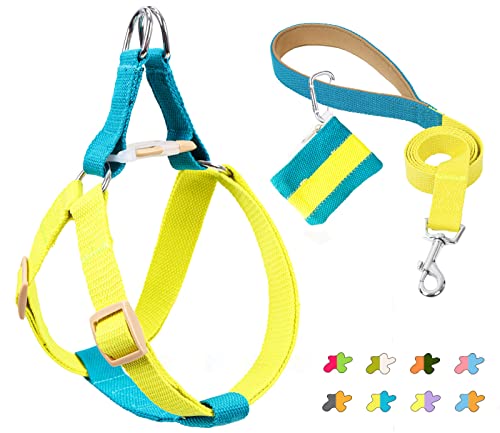 No Pull Hundegeschirr und Leine Set – Step in Hundehalfter Geschirr mit Kotbeutelhalter – Verstellbare Bequeme Leichte Gurte Geeignet für Mittelgroße Große Hunde Outdoor Walking Running Wandern (S, von ZIRVYIR