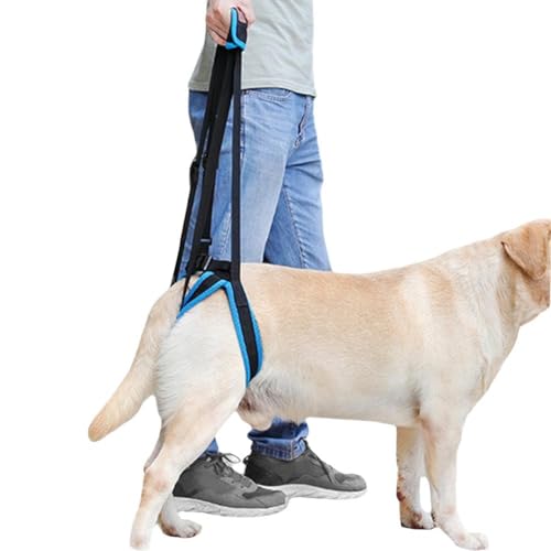 Hundegeschirr zum Heben, tragbares Hundetuch für Hinterbeine, Hebeunterstützung und Reha-Geschirr und Rücken für schwache Beine, Verletzungen bei Behinderungen von ZIRYXQ