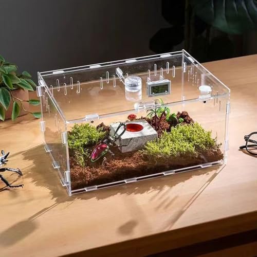 Springspinnengehege, Vogelspinnen-Gehege, Acryl-Terrarium, Reptiliengehege, Springspinne Zubehör mit Magnet vorne öffnende Tür, Landschaftszuchtbox von ZIYOUGOU