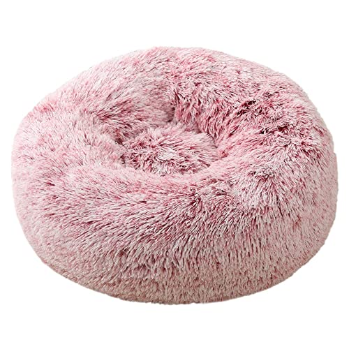 Hundebett Runde Plüsch Hund Bett for kleine mittelgroße Hundekatze Haus Haustier Betten Winter Warme Hunde Matte Sofa Weiche Schlafwelpen Nest Hunde Zubehör (Color : Rose Red, Size : 40cm) von ZJCNHY