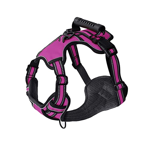 Hundegeschirr Hundegeschirr No Pull Atmungsaktive Reflektierende Haustiergeschirrweste for Kleine Große Hunde Outdoor Walking Training Hundezubehör (Color : Rose red, Size : XS) von ZJCNHY