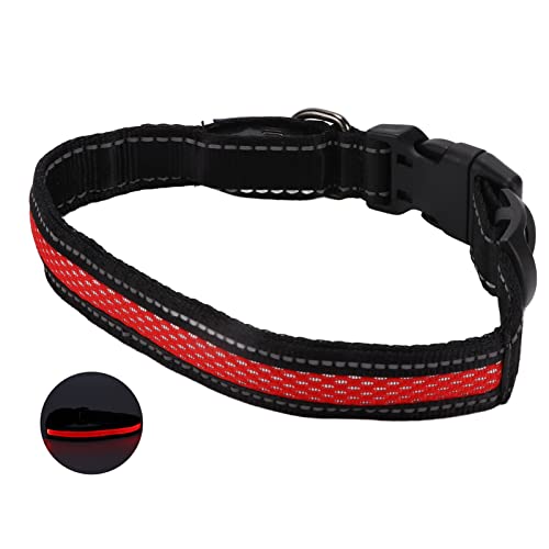 Leuchtendes Katzenhalsband, Im Dunkeln Leuchtendes Hundehalsband, LED-Hundehalsband, LED-Hundehalsband, Leuchtendes Hundehalsband mit Reflektierenden Streifen für Katzen, Kleine, von ZJchao