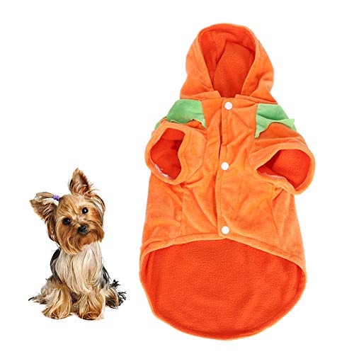 Lustiges Kürbis-verwandelndes Haustier-KostüM, Halloween-Party, Cosplay, Kleidung, Verkleidung für Hunde, Katzen, XS, S, M, L, XL (M) von ZJchao