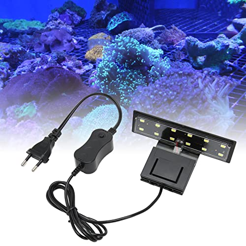 ZJchao Aquarium-Clip-On-LED-Licht, Mini-Superhell-Weißlicht-Aquarium-Clip-Lampe für die Fischhaltung von Wasserpflanzen (EU-Stecker 220 V) von ZJchao