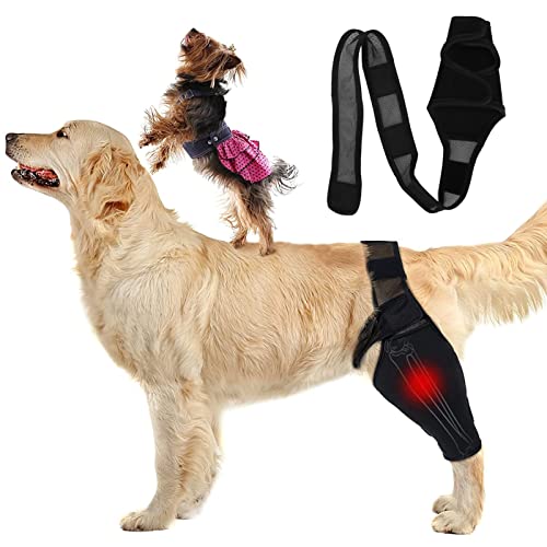 ZJchao Hunde-Ellbogenschutzpolster für Hunde-Ellenbogen und Schulter-Stützellenbogen bei Dysplasie, Arthrose, Ellenbogenschwielen und Schulterluxation, Kleine Mittelgroße Hunde (Schwarz) von ZJchao