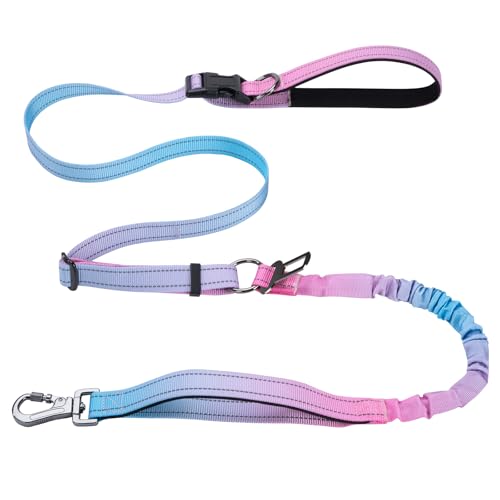 Hundeleine Mit Reflektierenden Streifen Verstellbare Führleine für Hunde Joggingleine Für Hunde für Mittelgroße Und Große Hunde (Blau Rosa) von ZLLkeji