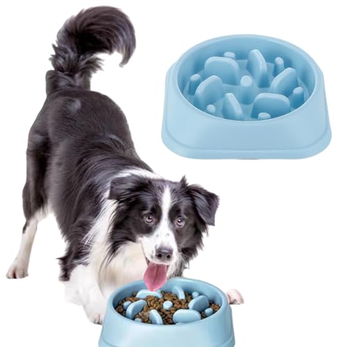 Antischlingnapf Hunde Klein,Anti Schling Napf Hund,Hundenapf Langsame Fütterung,Slow Feeder Dog Bowl,Hundenapf,Fressnapf,Anti Schling Napf Hundenapf Futternapf für Katzen und Kleine Hunde von ZLXFT