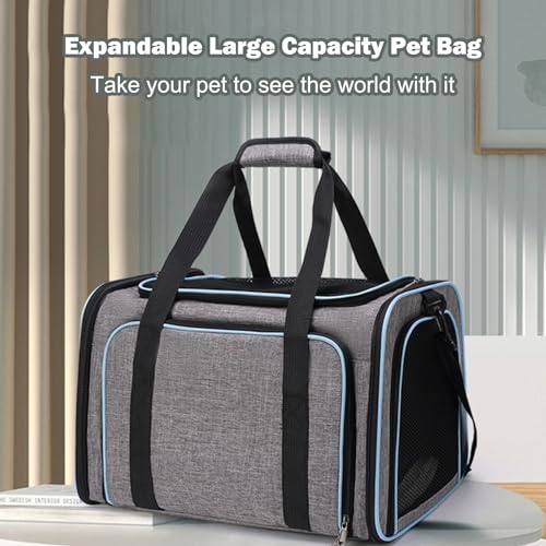 Portable Expandable Cat Carrier Backpack, Breathable Pet Crate with Foldable Plush Mat for Small to Medium Pets, and Scratch (L) von ZLXHDL