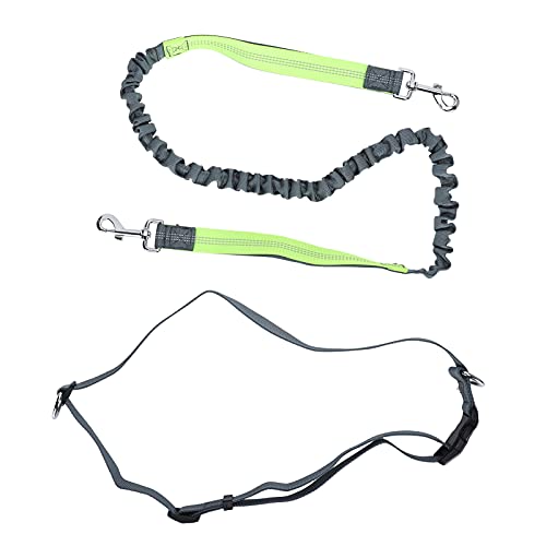 Reflektierende Hundekabelbaum und Leine Set Nylon Hundeleine für große und mittlere Hunde, einstellbare Hundehalsband, bruchsichere Tierversorgungen, Hunde Sicherheitsgurt für Auto (Grün) von ZLXHDL