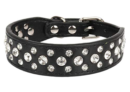 Kleine Katzen Hunde Halsbänder Strass Chihuahua Haustier Halskette Zubehör Halsband Welpenzubehör-schwarz, XS von ZMKW