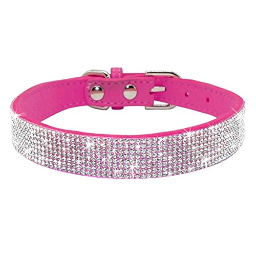 Strass Hund Katze Halsbänder Leder Haustier Welpe Kätzchen Halsband Leine Leine Für Kleine Mittlere Hunde Katzen Chihuahua-Rose Rot, XS von ZMKW