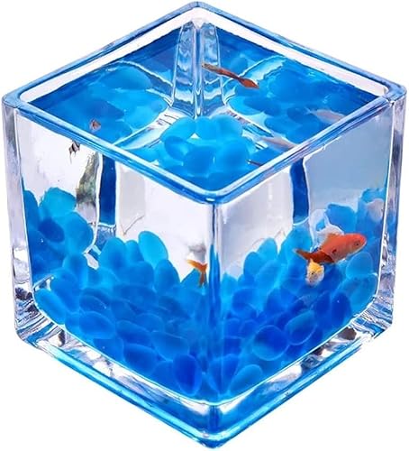 Aquarium-Starter-Sets, quadratisch, transparentes Glas, Mini-Büro, Zuhause, Kampffischbecken, kreative Zierfische, kleines Aquarium, Wasserpflanzenbecken, Aquarium (4,72 Zoll)(3.94IN) von ZMQU