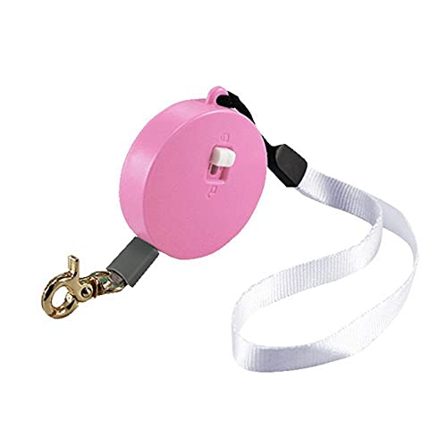 Ausziehbare Hundeleine 2M Runde Form Automatische Einziehbare Hundeleine Pet Walking Nylon Traction Cat Walking Rope Flachseil Pink von ZNYLX