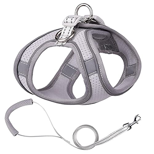 Hundegeschirr Katzengeschirr Mit Leine Puppy Mesh Harness Weich Gepolsterte Hundeleine Kleine Hunde Katzengeschirr Weste Hundezubehör B 2XS von ZNYLX