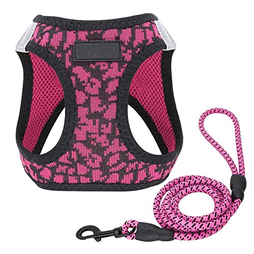 Hundegeschirr Katzengeschirr Mit Leine Rosa Atmungsaktives Hundegeschirr Und Leine Set Reflektierendes Mesh Pet Puppy Harness Weste Lead Leahes Harness Für Kleine Hunde Xs von ZNYLX