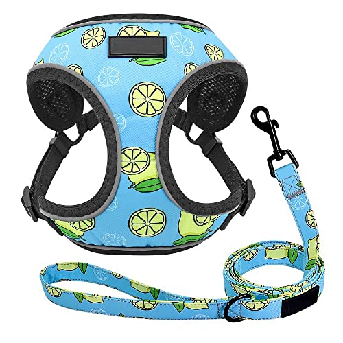 Hundegeschirr Katzengeschirr Mit Leine Verstellbares Hundegeschirr Leine Set Reflektierendes Mesh Welpenweste Nylon Pet Walking Leine Leine Für Kleine Mittelgroße Hunde Bl von ZNYLX