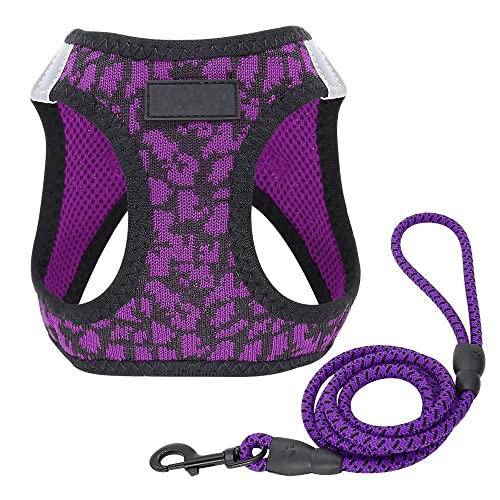 Hundegeschirr Katzengeschirr Mit Leine Violett Atmungsaktives Hundegeschirr Und Leine Set Reflektierendes Mesh Pet Puppy Harness Weste Leine Leahes Harness Für Kleine Hunde S von ZNYLX