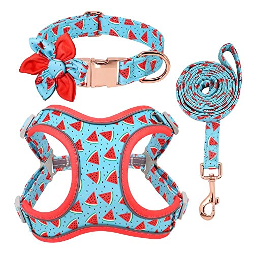 Hundegeschirr Katzengeschirr Set Blau Bedrucktes Hundehalsband Leine Set Personalisierte Hundehalsband Geschirre Walking Leine Für Mittelgroße Hunde L von ZNYLX