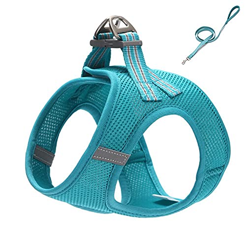 Hundegeschirr Katzengeschirr Set Blaue Hundeleine Katzenverstellbares Geschirr Weste Walking Lead Leine Für Welpen Hunde Halsband Für Kleine Mittelgroße Hundekatze Xs von ZNYLX