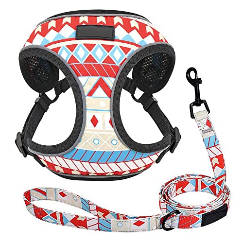 Hundegeschirr Katzengeschirr Set Einstellbare Hundegeschirr Leine Set Reflektierendes Mesh Welpenweste Nylon Pet Walking Leine Leine Für Kleine Mittelgroße Hunde Fs von ZNYLX