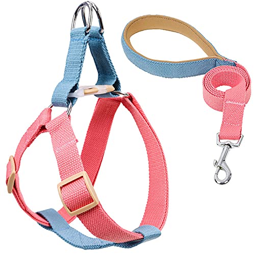 Hundegeschirr Katzengeschirr Set Hundegeschirr Und Leine No Pull Nylon Haustierleinen Für Kleine Hunde Leine Und Halsband Set As von ZNYLX