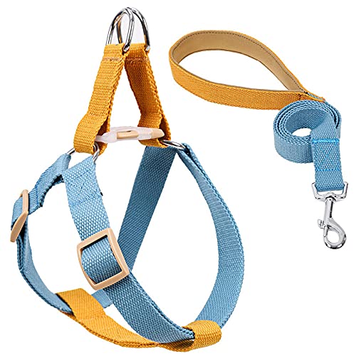 Hundegeschirr Katzengeschirr Set Hundegeschirr Und Leine No Pull Nylon Hundeleinen Für Kleine Hunde Leine Und Halsband Set Gl von ZNYLX