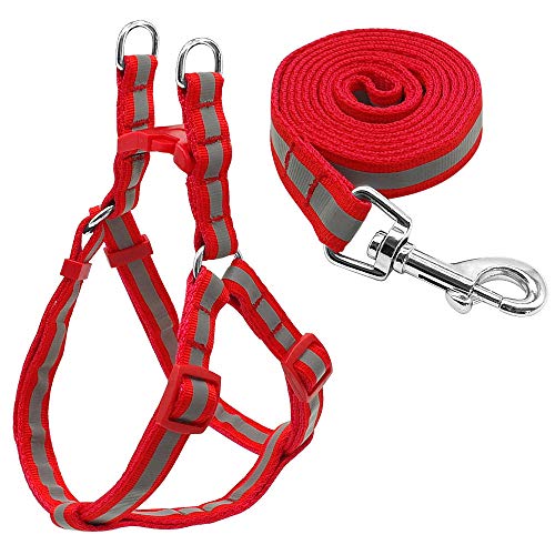 Hundegeschirr Katzengeschirr Set Rotes Kleines Hundegeschirr Halsband Nylon Reflektierende Leine Set Welpe Für Mittelgroße Hunde Welpe S von ZNYLX