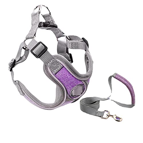 Hundegeschirr Katzengeschirr Set Violett Pets Dogs Verstellbares Geschirr Für Hunde Welpenweste Halsband Leine Hundezubehör M von ZNYLX