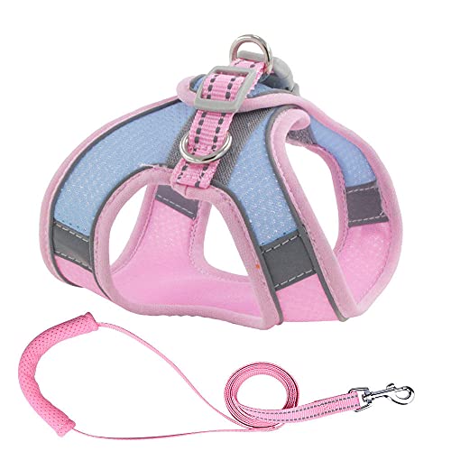 Hundegeschirr Katzengeschirr Und Leine Puppy Mesh Harness Weich Gepolsterte Hundeleine Kleine Hunde Katzengeschirr Weste Hundezubehör G 2XS von ZNYLX