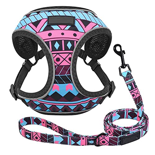 Hundegeschirr Katzengeschirr Und Leine Verstellbares Hundegeschirr Leine Set Reflektierendes Mesh Welpenweste Nylon Pet Walking Leine Leine Für Kleine Mittelgroße Hunde Dm von ZNYLX