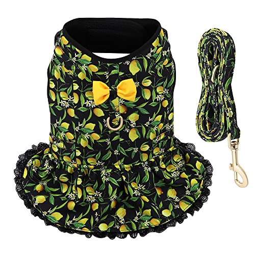 Hundegeschirr Leine Set Bedrucktes Hundegeschirr Leine Set Haustiere Welpen Kleidung Kleid Kleine Hundeweste Schwarz Xs von ZNYLX