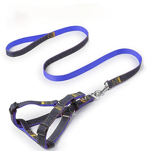 Hundegeschirr Leine Set Haustierleine Und Geschirr Set Hund Verstellbares Set Haustierleine Weste Small Medium Large Für Walking Training Hundezubehör Blau L von ZNYLX