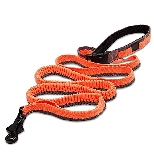 Hundeleine Aus Nylon Dog Running Bungee Leash Verstellbare Nylon Elastische Einziehbare Hundeleinen Zum Laufen Joggen Walking Orange M von ZNYLX