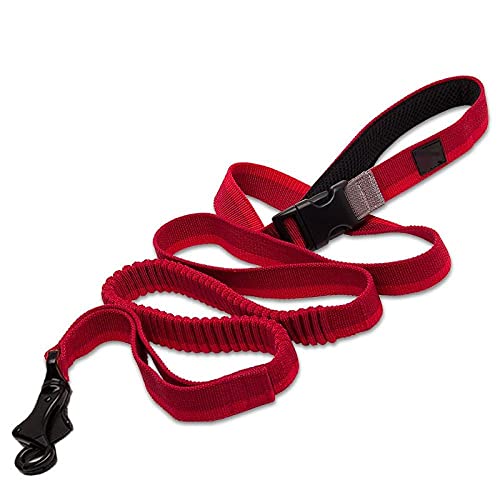 Hundeleine Aus Nylon Dog Running Bungee Leash Verstellbare Nylon Elastische Einziehbare Hundeleinen Zum Laufen Joggen Walking Rot M von ZNYLX