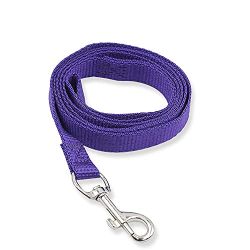 Hundeleine Nylon Hundeleine Aus Nylon Für Kleine Hunde Und Katzen Hundehalsband Für Hunde Zum Laufen Training Walking E von ZNYLX