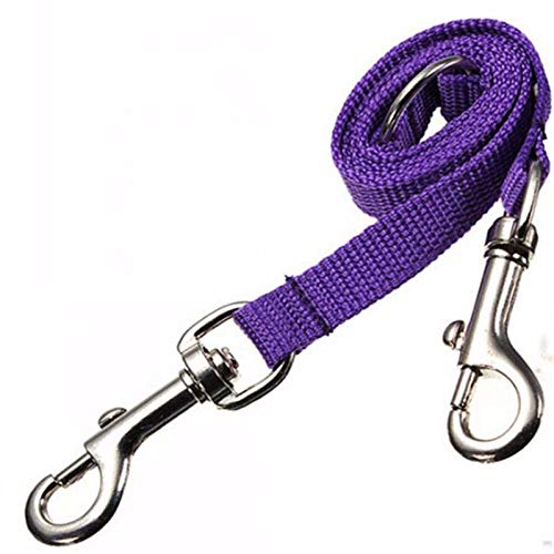 Hundeleine Splitter Violette Doppel Zwillings Doppelkupplungs Hundeleine Zwei In Einem Starke Nylon Hundeleine Bunte Zwei Wege Haustierleine von ZNYLX