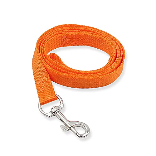 Robuste Hundeleine Hundeleine Aus Nylon Für Kleine Hunde Und Katzen Hundehalsband Für Hunde Zum Laufen Training Walking G von ZNYLX