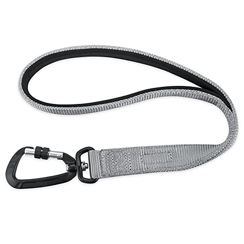 Starke Hundeleine Graue Nylon Hundeleine Walking Jogging Trainingsleinen Gepolsterter Kurzer Hundeleinengürtel Für Große Und Mittelgroße Hunde von ZNYLX