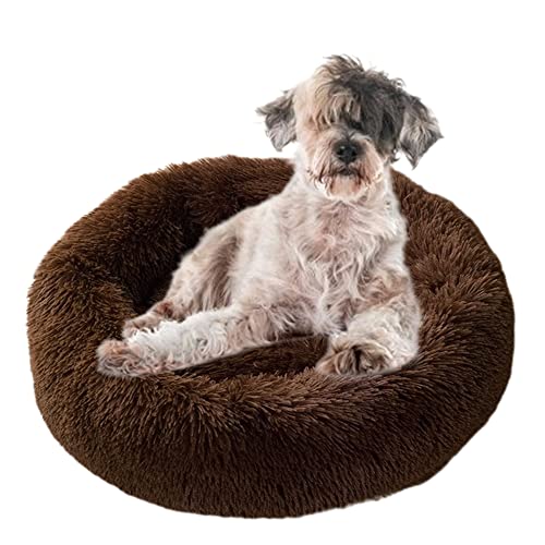 Beruhigendes Haustierbett, gemütliches Donut-Hundebett mit rutschfester Unterseite, maschinenwaschbar, Kuschelhütte, Welpenbett, Anti-Angst, rund, weiches Haustierbett, verbesserter Schlaf, Ø100 cm, Kaffee Beruhigendes Haustierbett, gemütliches Donut-Hundebett mit rutschfester Unterseite, maschinenwaschbar, Kuschelhütte, Welpenbett, Anti-Angst, rund, weiches Haustierbett, verbesserter Schlaf, Ø100 cm, Kaffee von ZOCIS