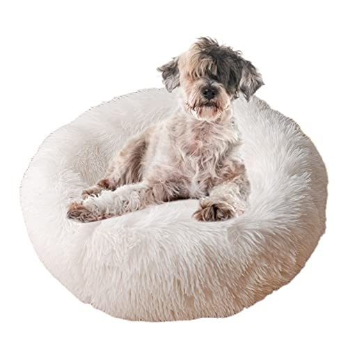 Beruhigendes Haustierbett, gemütliches Donut-Hundebett mit rutschfester Unterseite, maschinenwaschbar, Kuschelhütte, Welpenbett, Anti-Angst, rund, weiches Haustierbett, verbesserter Schlaf, Ø100 cm, Weiß Beruhigendes Haustierbett, gemütliches Donut-Hundebett mit rutschfester Unterseite, maschinenwaschbar, Kuschelhütte, Welpenbett, Anti-Angst, rund, weiches Haustierbett, verbesserter Schlaf, Ø100 cm, Weiß von ZOCIS