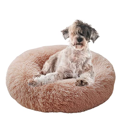 Beruhigendes Haustierbett, gemütliches Donut-Hundebett mit rutschfester Unterseite, maschinenwaschbar, Kuschelhütte, Welpenbett, Anti-Angst, rund, weiches Haustierbett, verbesserter Schlaf, Ø100 cm, Beruhigendes Haustierbett, gemütliches Donut-Hundebett mit rutschfester Unterseite, maschinenwaschbar, Kuschelhütte, Welpenbett, Anti-Angst, rund, weiches Haustierbett, verbesserter Schlaf, Ø100 cm, von ZOCIS